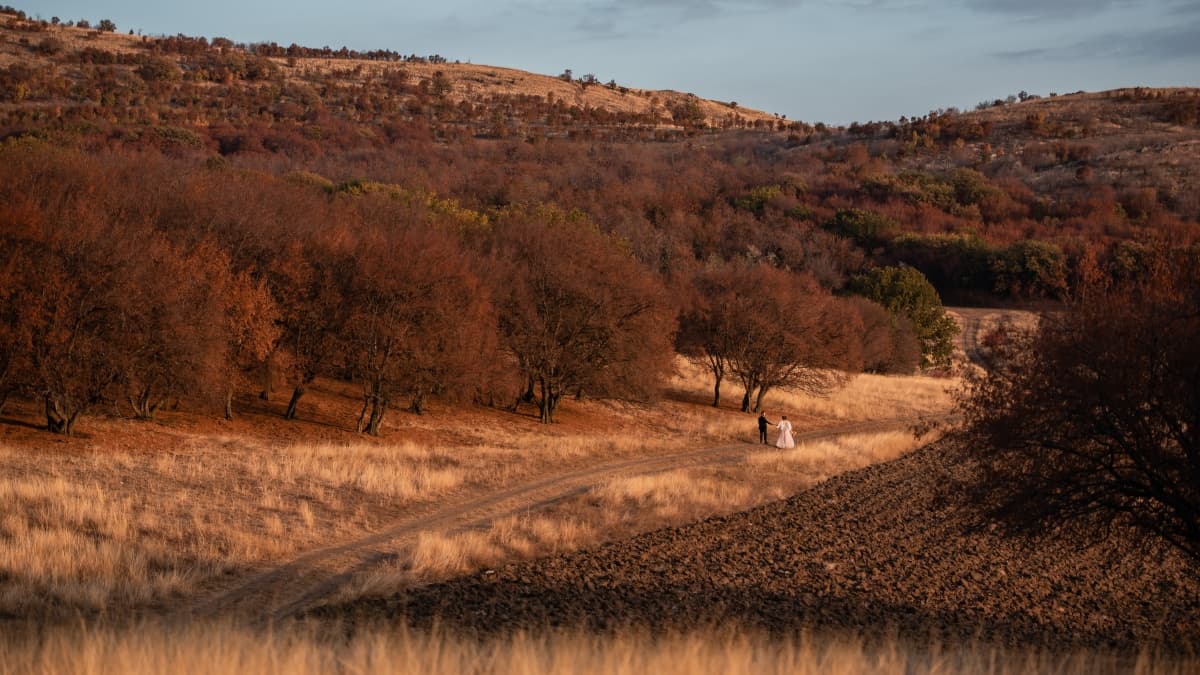 Fotografie de Simona Stanciu la Herghelia Padoc Cerna