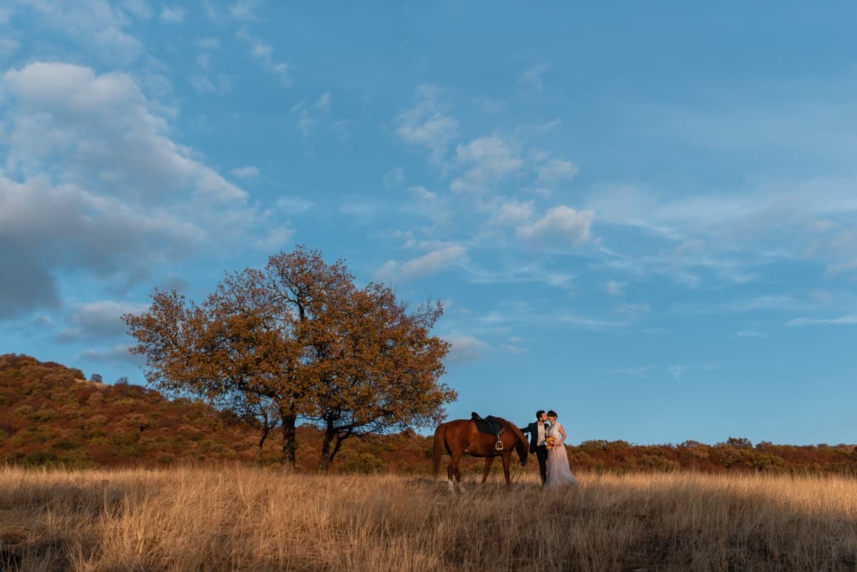 Fotografie de Simona Stanciu la Herghelia Padoc Cerna