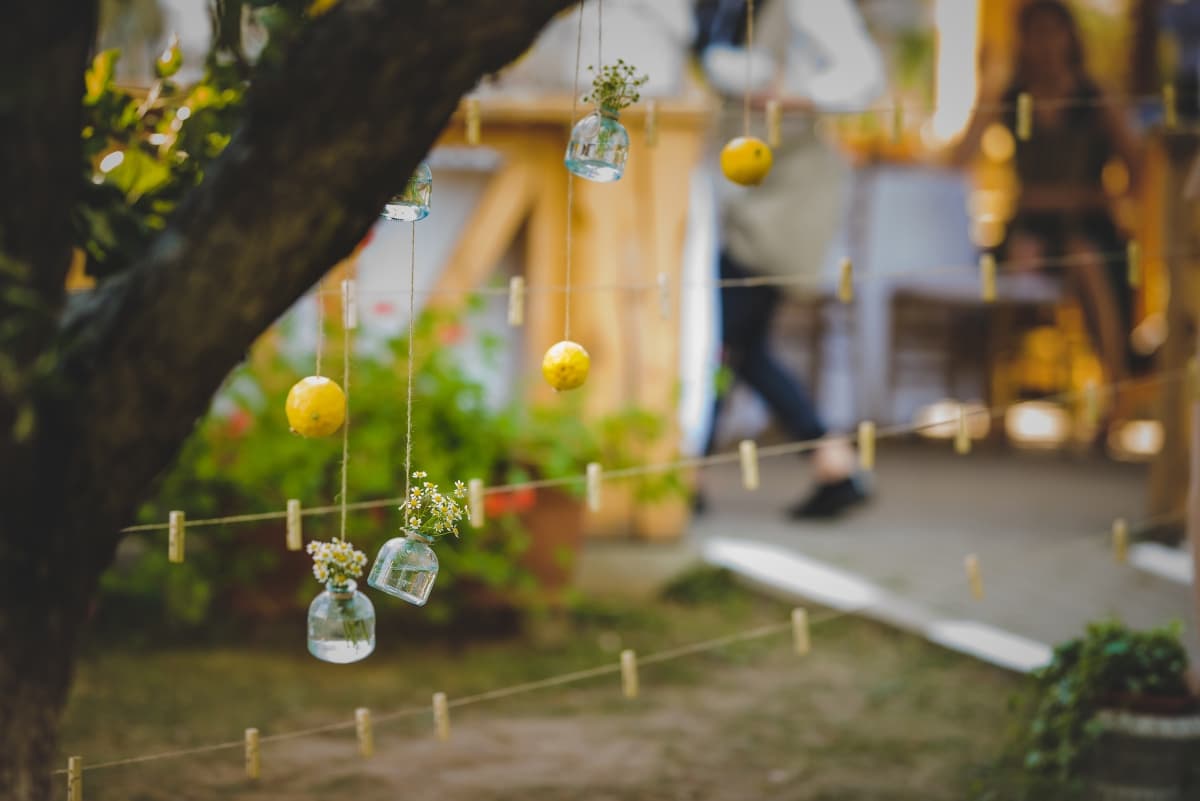 Fotografie de Constantin Alin la Vila Boierului OK