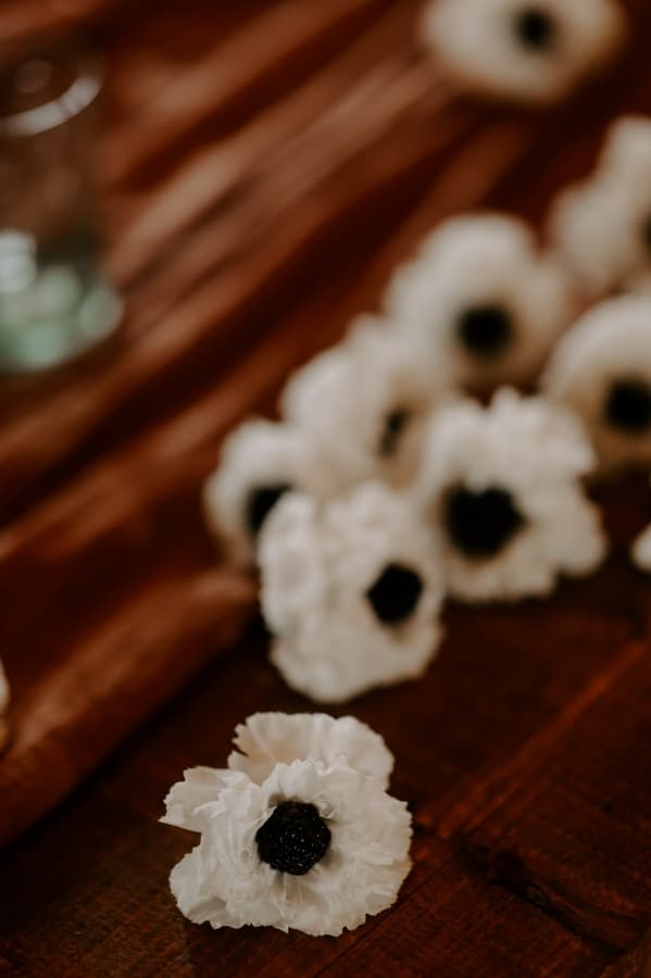 Fotografie de Alexandru Roman Photographer la Valea Sanzienelor