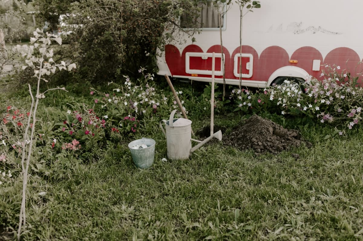 Fotografie de Alexandru Roman Photographer la Valea Sanzienelor