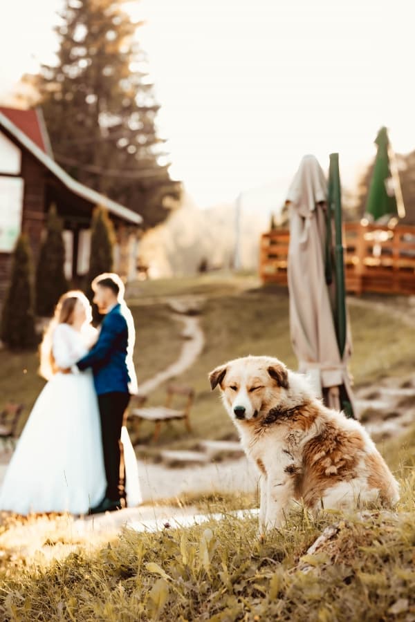 Fotografie de Alexandru Roman Photographer la Restaurant Lacu Rosu