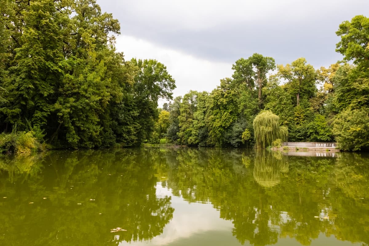 Fotografie de Cristian Branescu Photography la Palatul Stirbey