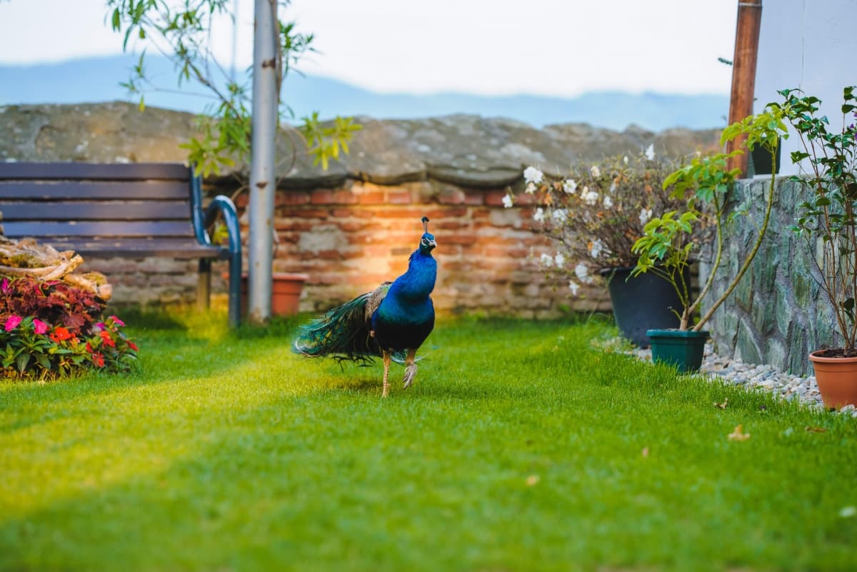 Fotografie de Constantin Alin la Schitul Cetatuia Ramnicu Valcea