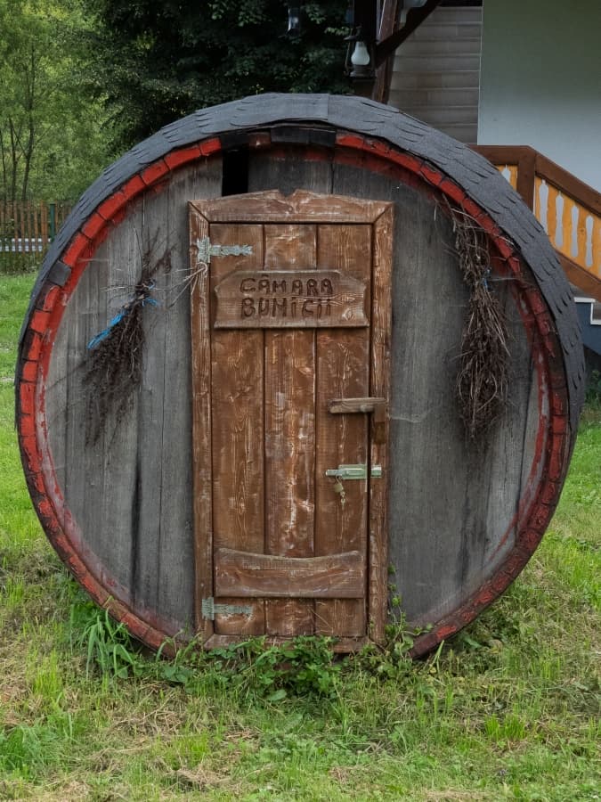 Fotografie de Cornel Marian la Casa Baciu