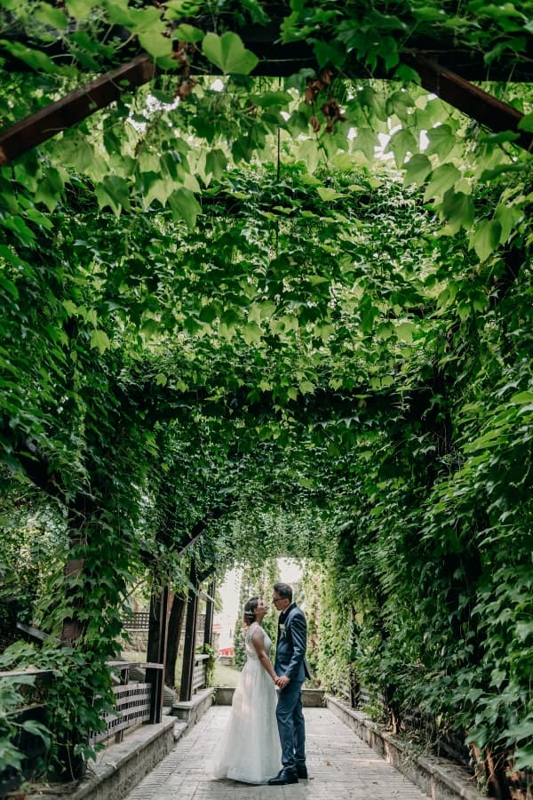 Bellaria - locatie pentru nunti in Iași, Iași