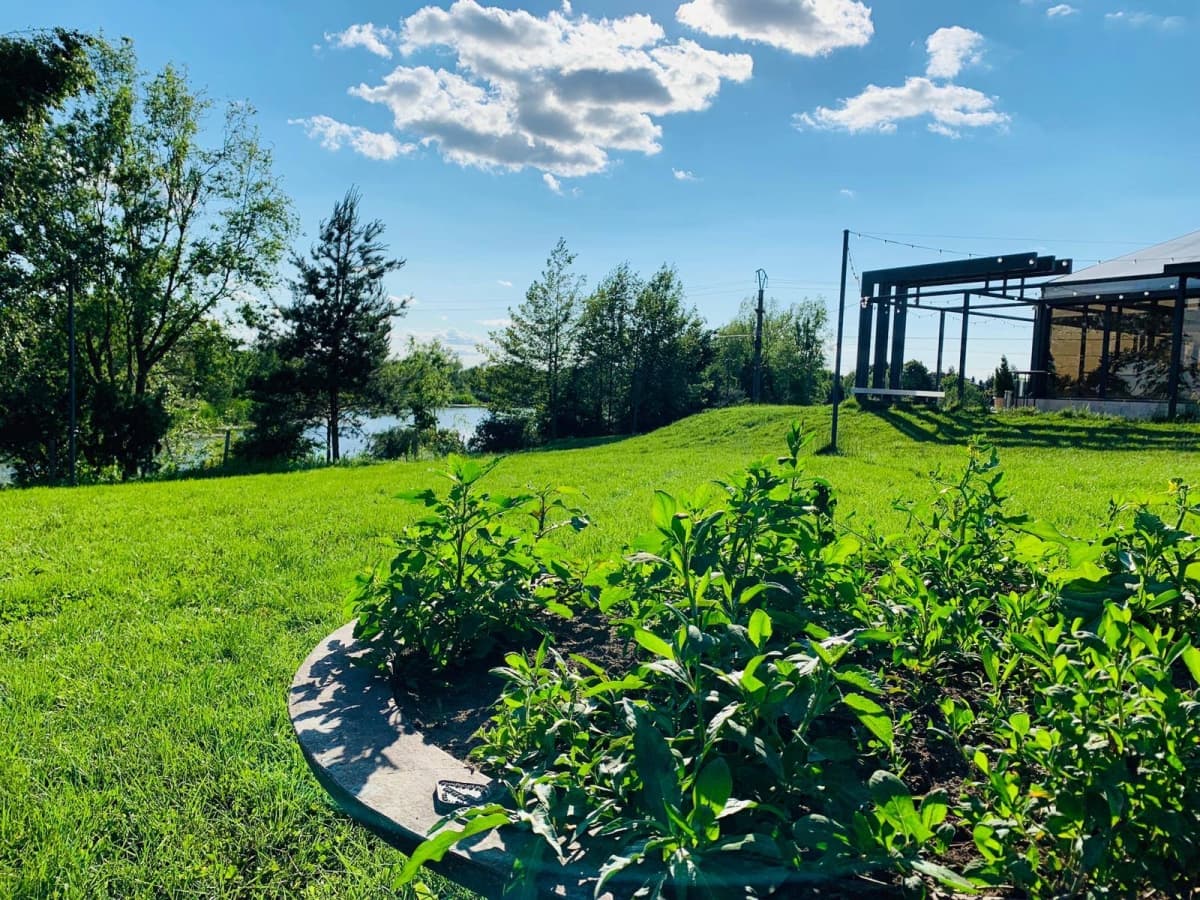 Fotografie oficiala Lagoo Snagov