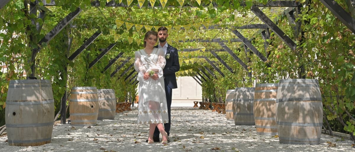 Castel Mimi - locatie pentru nunti in Bulboaca, Anenii Noi