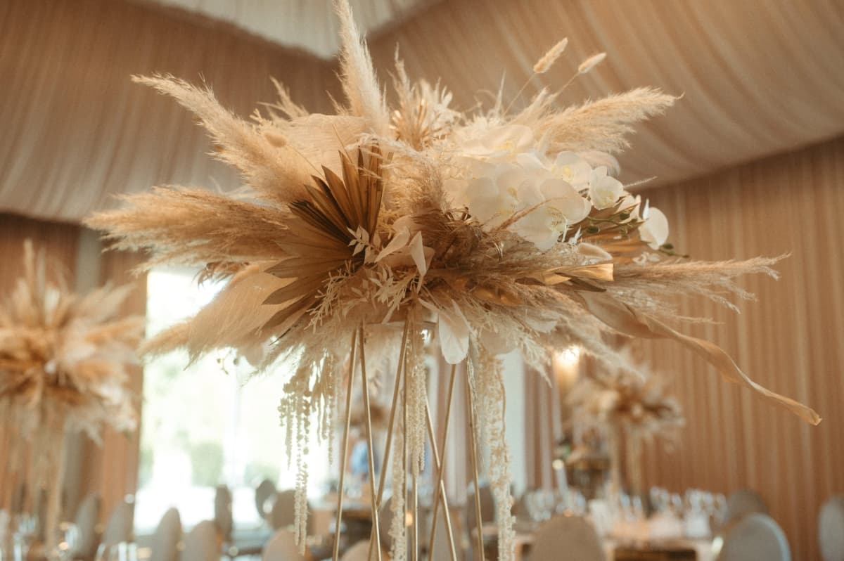 Fotografie de George Sandu la Events Garden by Nabucco