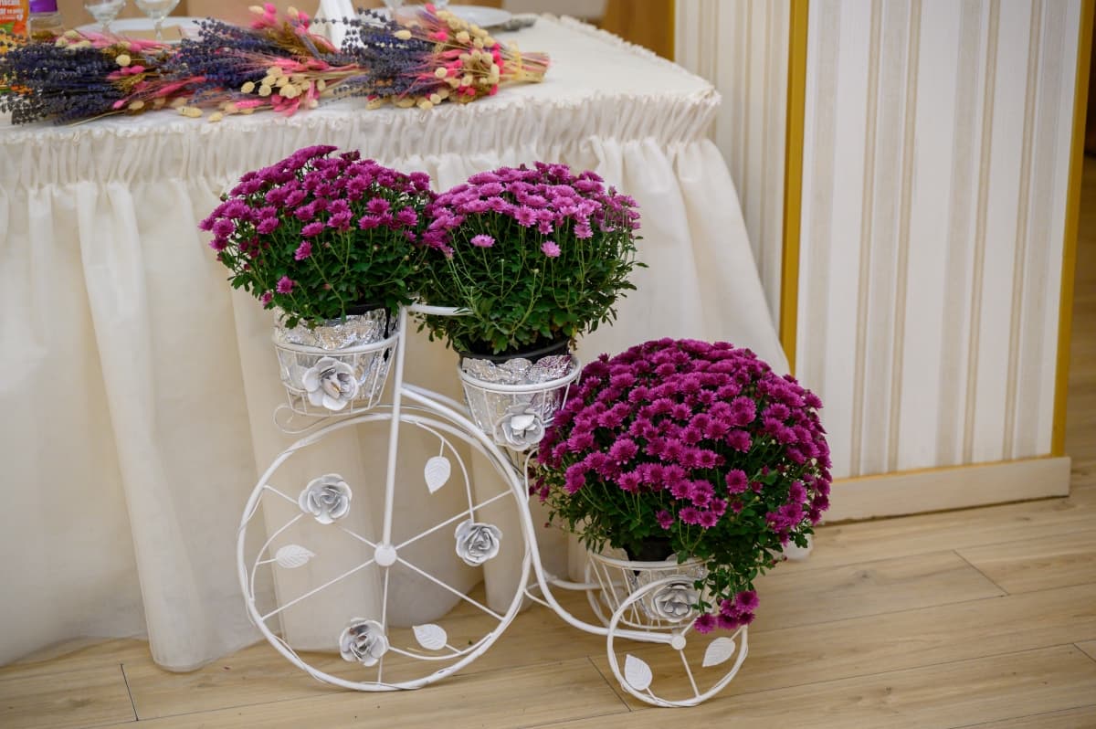 Fotografie de MAUS Studio la Restaurant Vismad