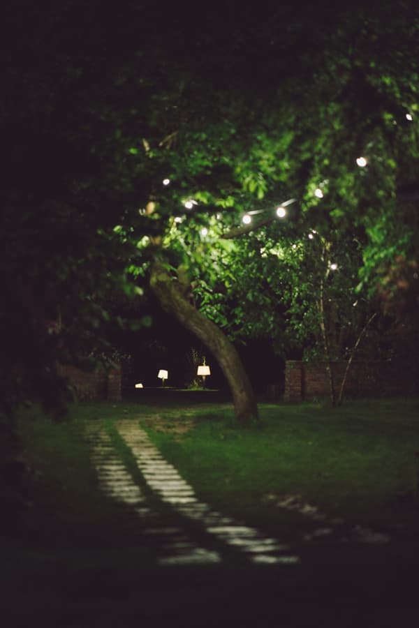 Fotografie de Moments by Ioana Stavar la Gradinile Jolie