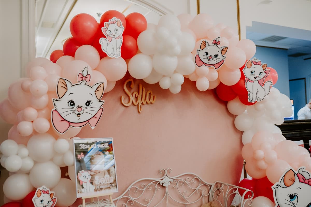 Hotel Belvedere - locatie pentru nunti in Botoșani, Botoșani