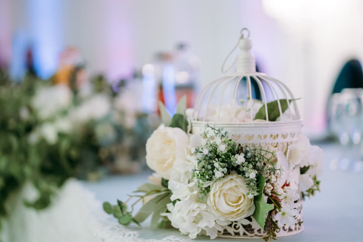 Fotografie de TheMoonlight la Terasa Mark