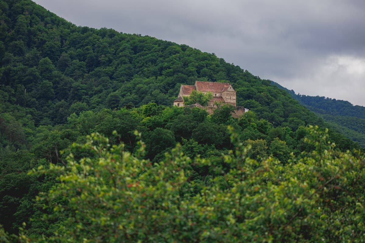 Fotografie de Your Story la Casa Elimheim