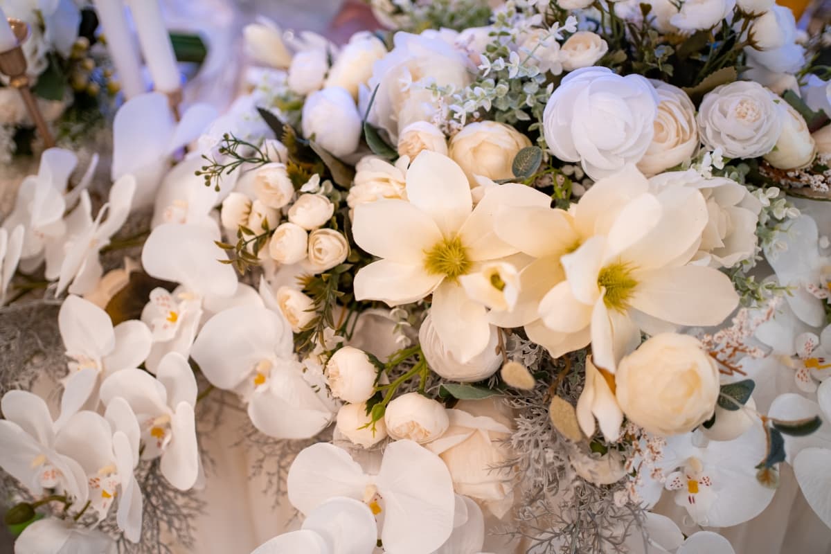 Dumbrava Business Resort - locatie pentru nunti in Bacău, Bacău