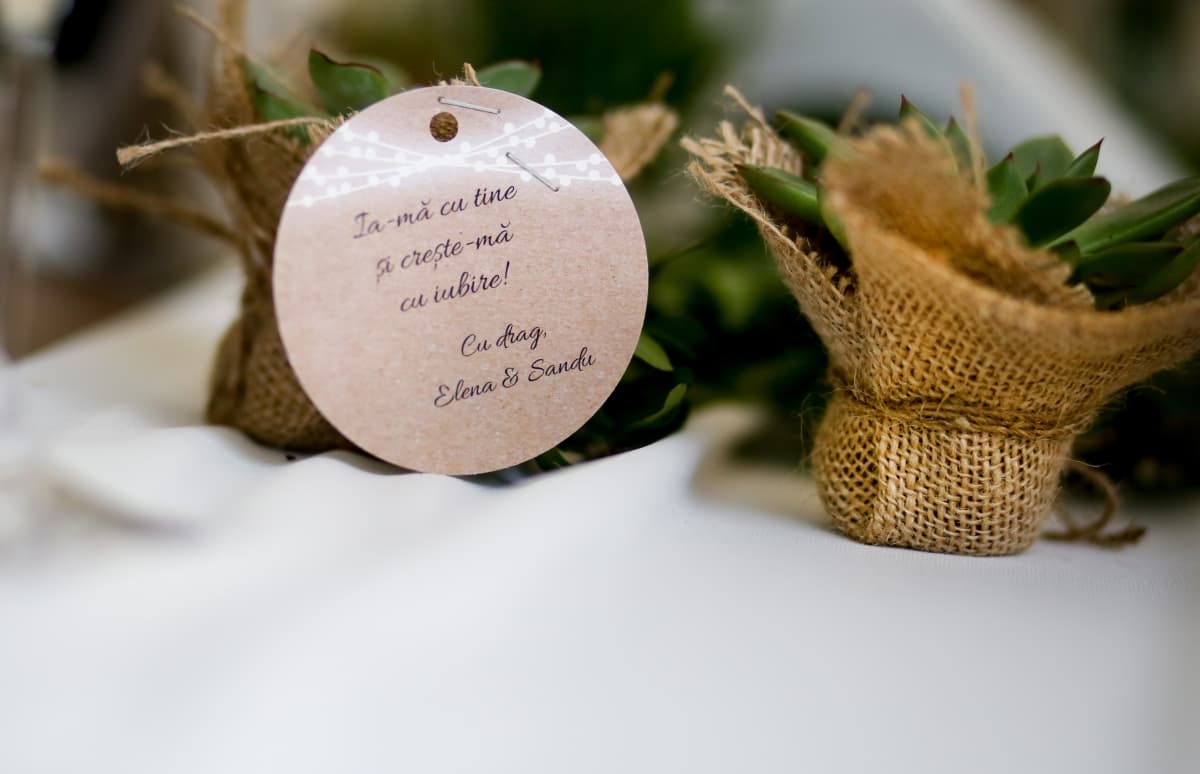 Fotografie de Marius Stoica la Cabana Izvoranu