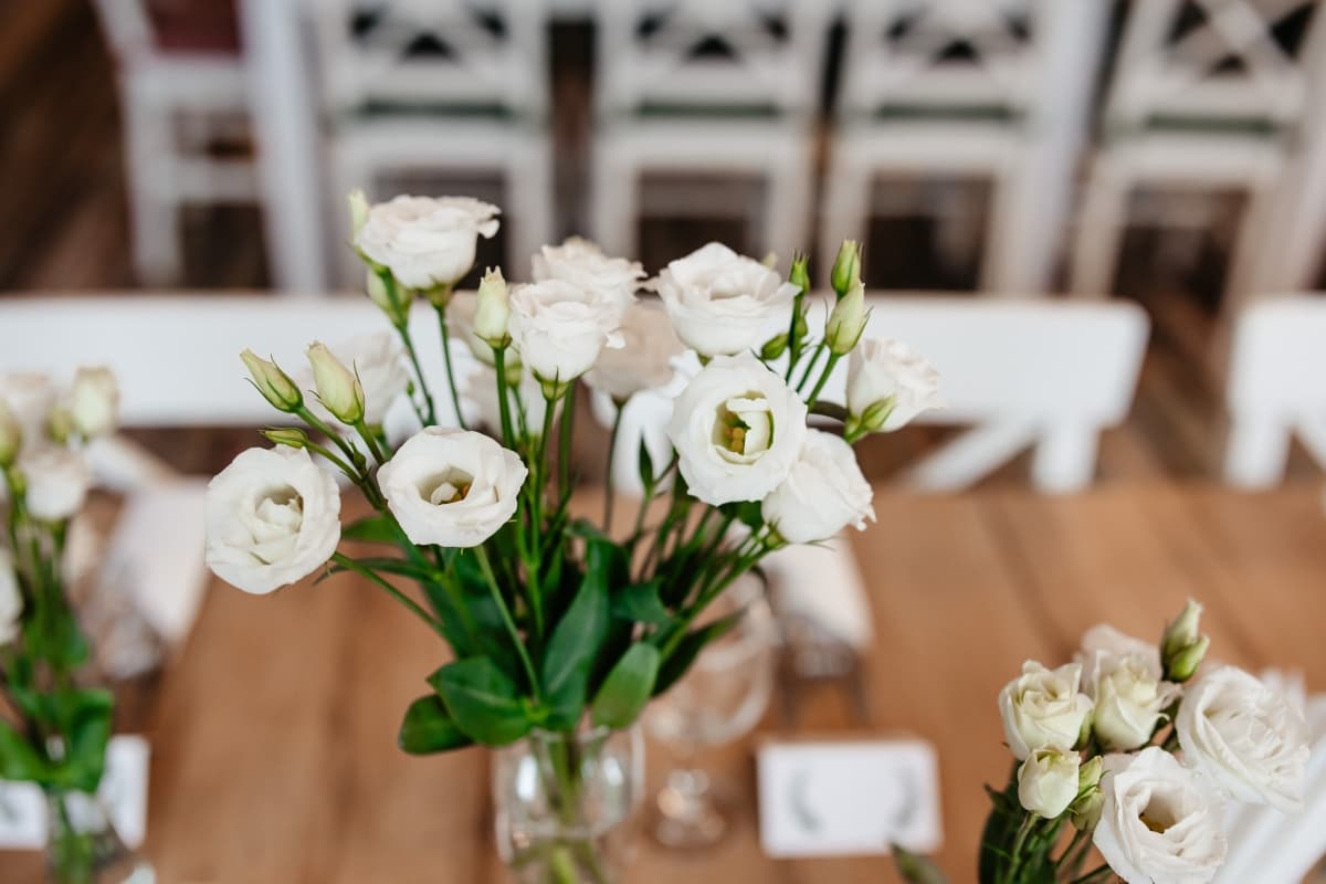 Fotografie de Cristian Branescu Photography la Jolly Club