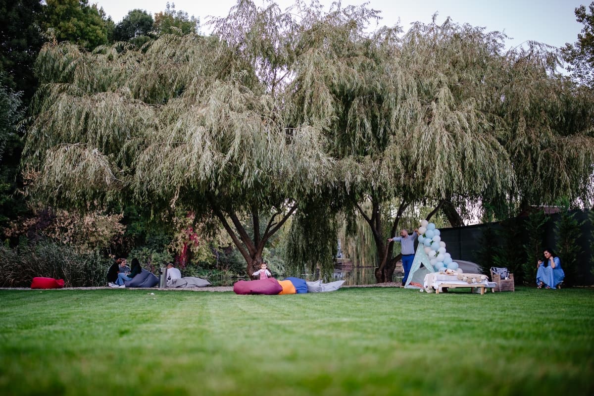 Fotografie de Cristian Branescu Photography la Sura cu nuferi