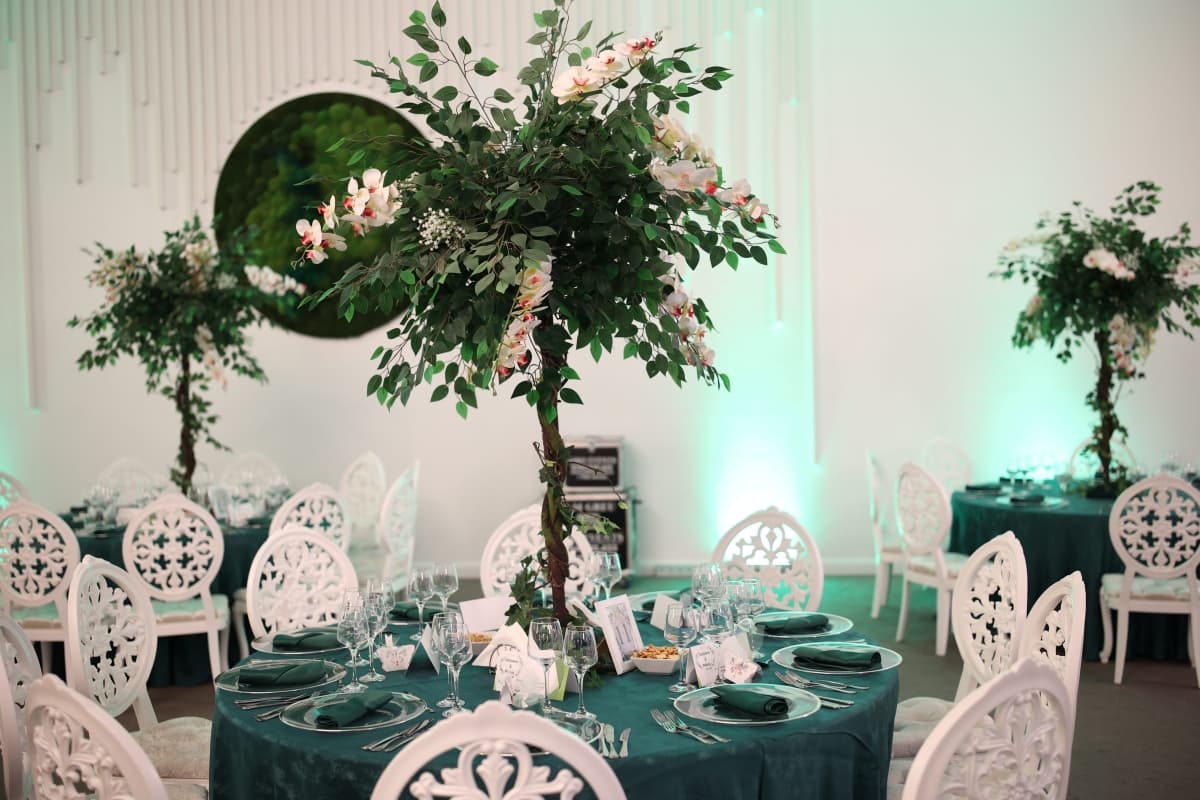 Smarald Forest - locatie pentru nunti in Dâmbovița