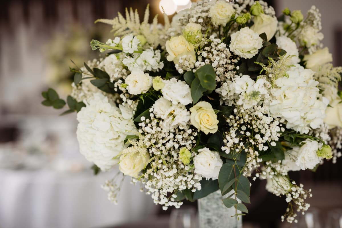 Hotel Piscul Negru - locatie pentru nunti in Aref, Argeș