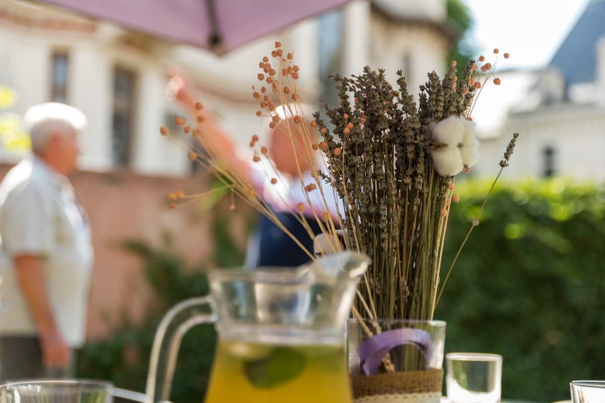 Fotografie de Eugen Elisei la Ceai la Vlaicu