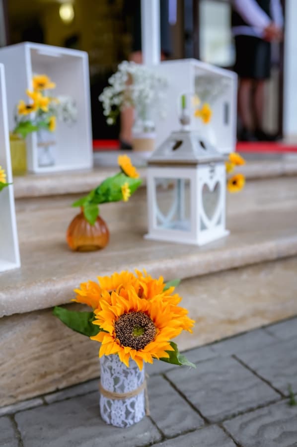 Fotografie de Răzvan Dale la Montana Popa