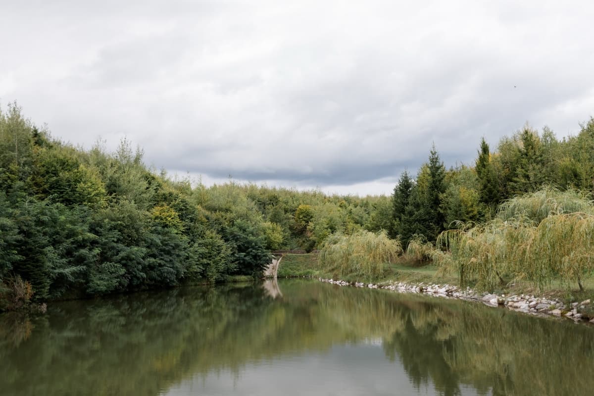 Fotografie de Ioana Butnariu  la Comoara Bucovei