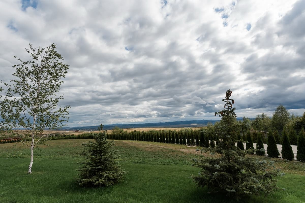 Fotografie de Ioana Butnariu  la Comoara Bucovei