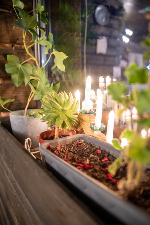 Fotografie de Andrei Lungu la Red House