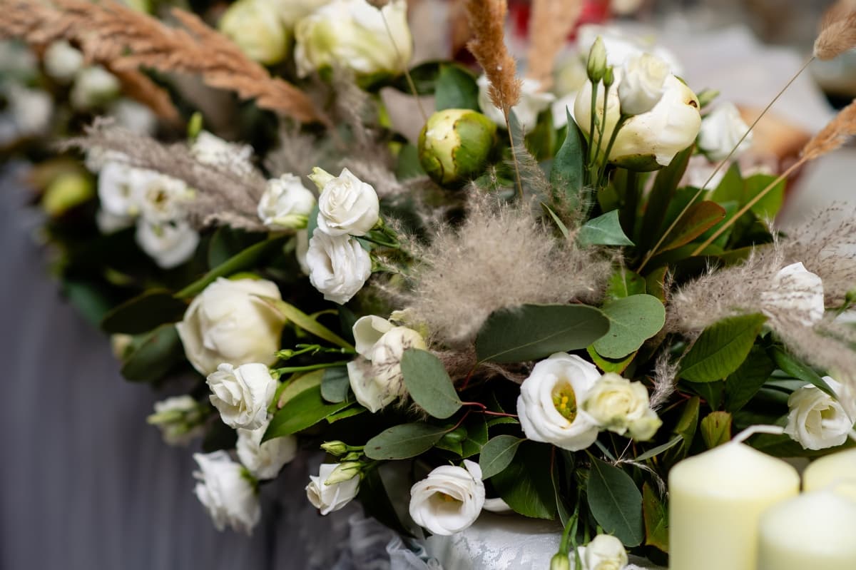 Raluca Events - locatie pentru nunti in Aninişu de Vale, Gorj