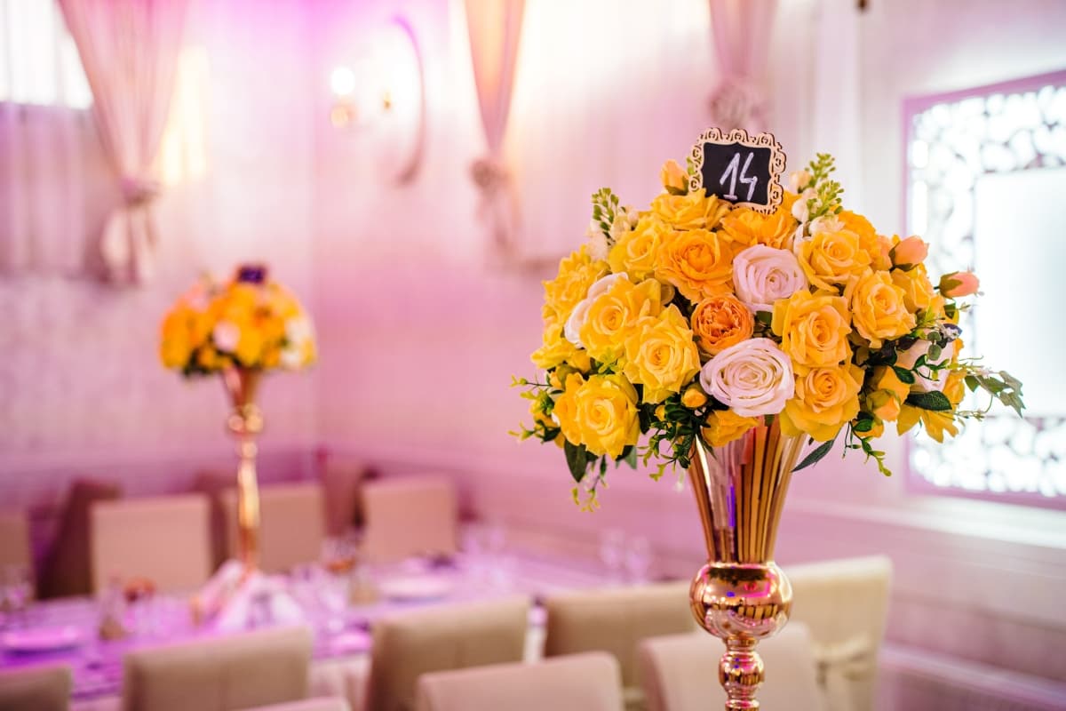 Luxor Events - locatie pentru nunti in Albota, Argeș