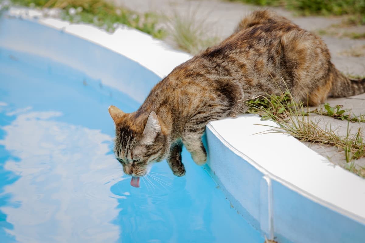 The Meeting Point - locatie pentru nunti in București, București