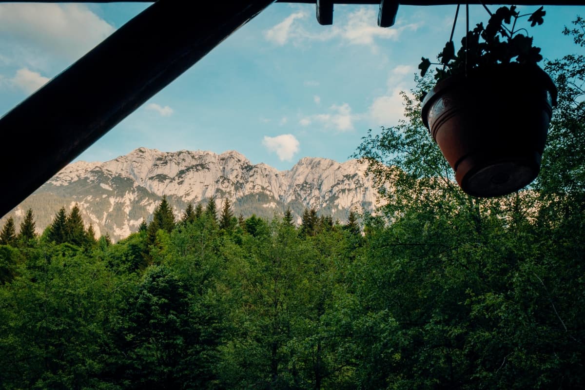 Fotografie de Dogaru Florin la Cabana Dianthus