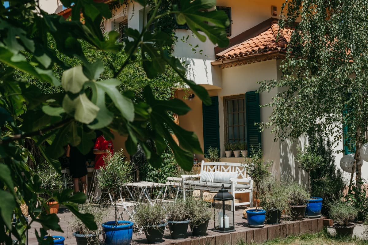 Fotografie de Liana Ivanov Photography la Maison 36