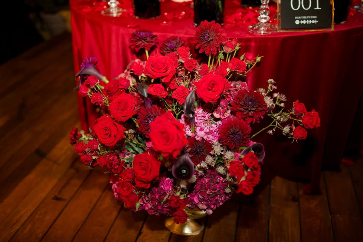 Fotografie de District One Stories la Fratelli Studios