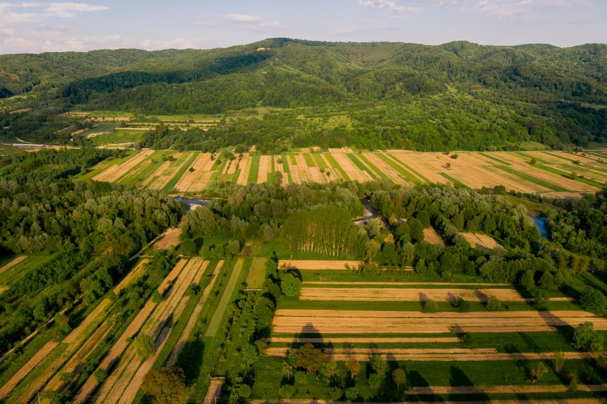 Fotografie de District One Stories la Salon Evenimente Cristian