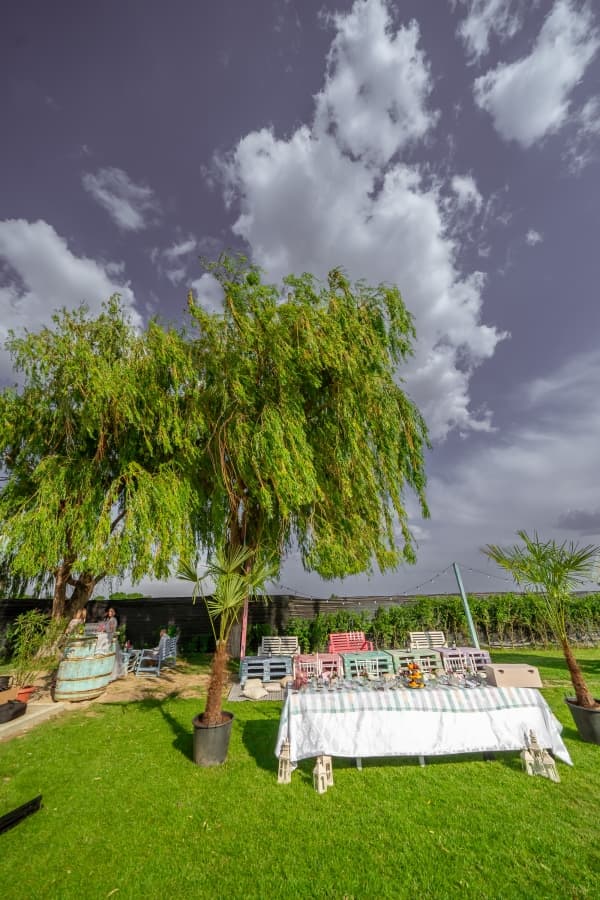 Fotografie de Eduard Colea la Bloom Events by Aqualand Focsani 