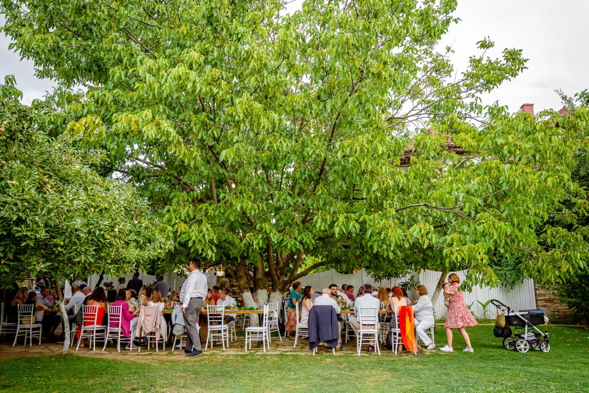 Fotografie de Eduard Colea la The Backyard