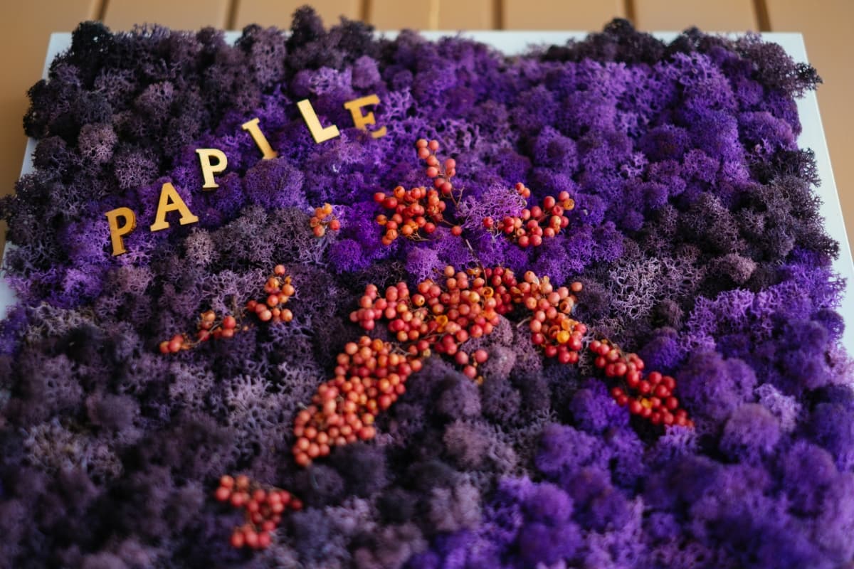 Fotografie de Vision Photography By Geo Dolofan la Papile Gastro Pub 