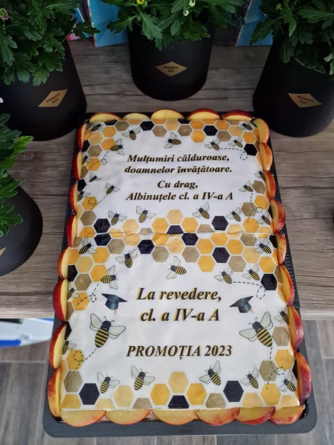 Fotografie oficiala Conacul Anastasiei 