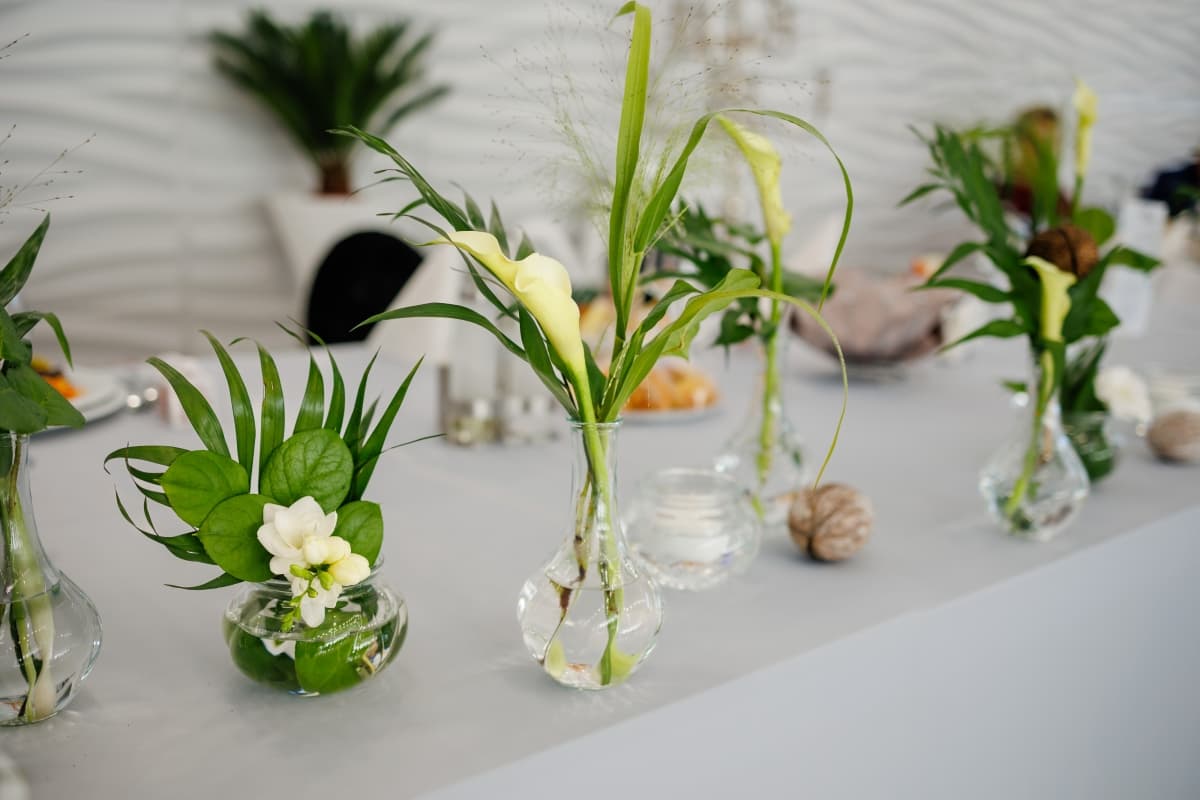 Fotografie de Dream Art Events la Jolly Events