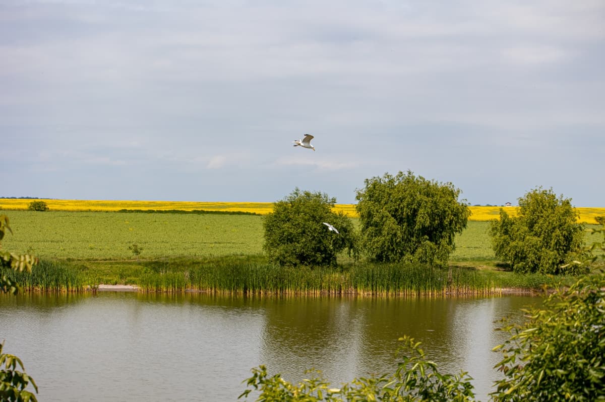 Fotografie de Your Story la Memories of the Lake