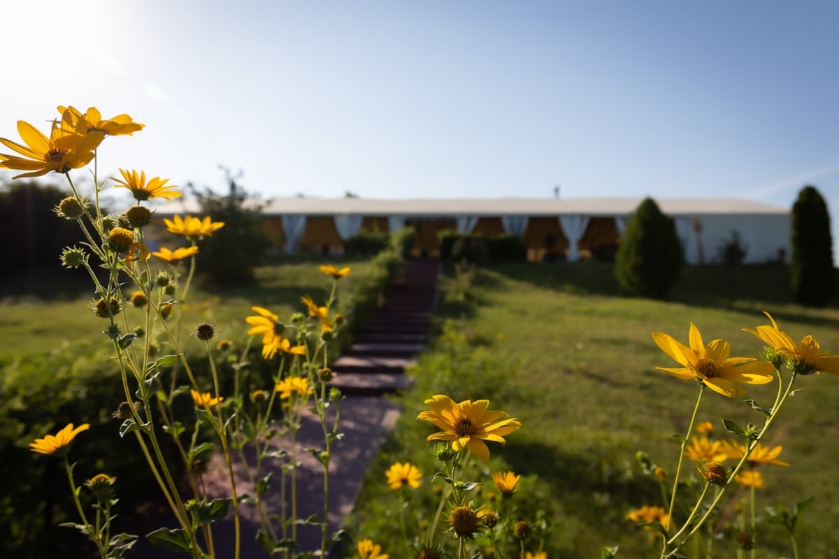 Fotografie de Fotograf Marius Mihalache la I Do Weddings