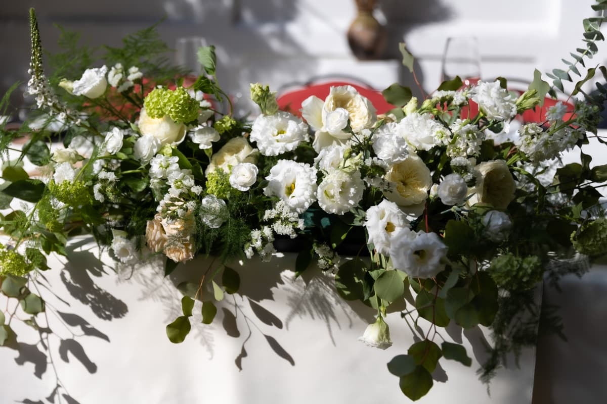 Fotografie de Fotograf Marius Mihalache la Ciao Niki