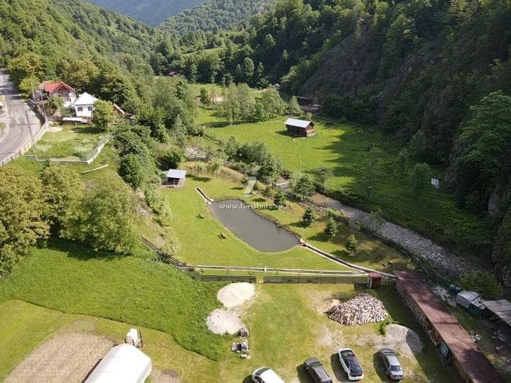 Pensiunea Montania - locatie pentru nunti in Voineasa, Vâlcea