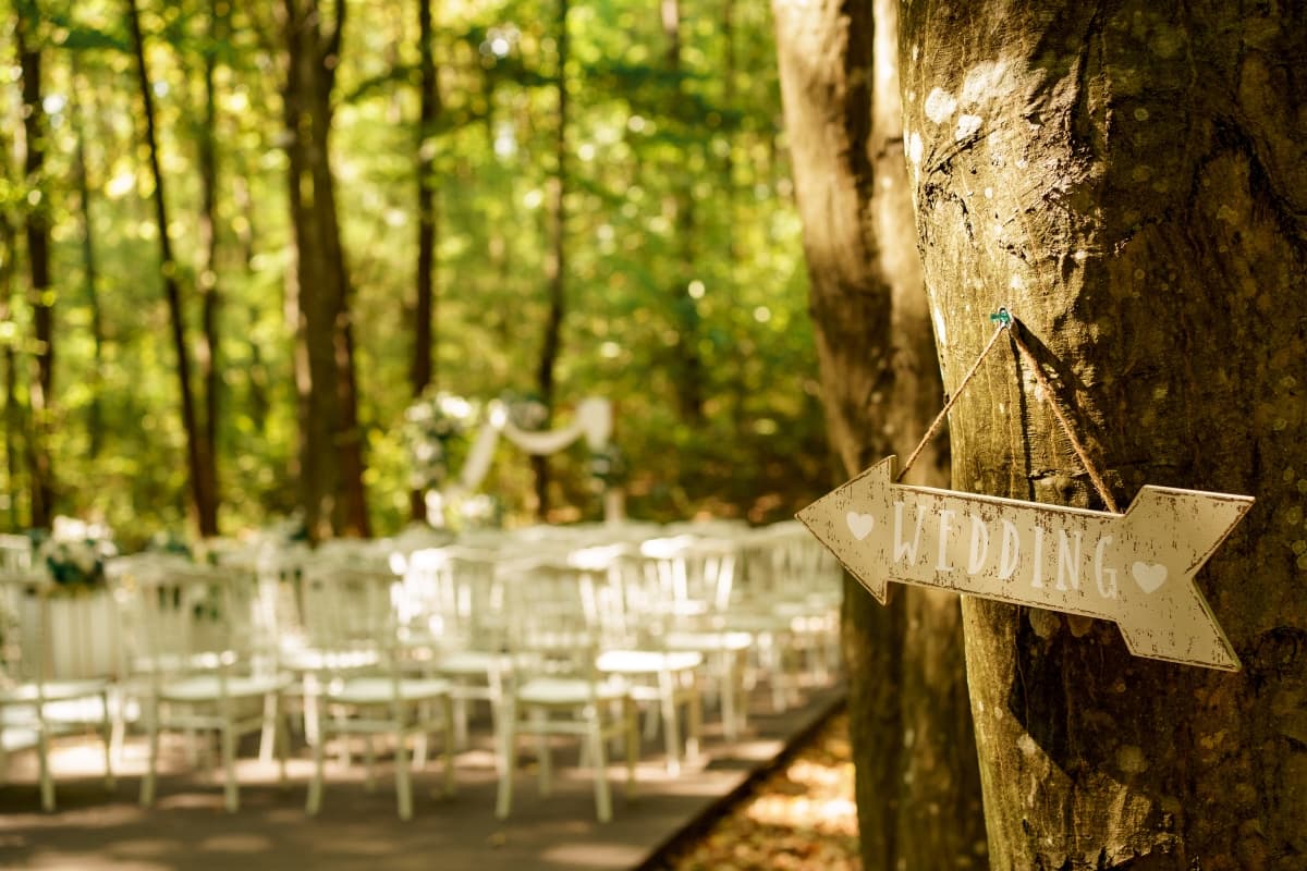 Fotografie de Daniel V. Dumitrache  la Palace Events