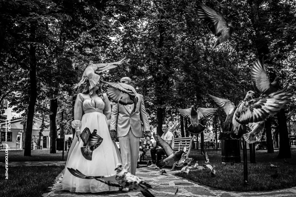 Fotografie de Radu Constantinescu Fotograf la Parcul Pedagogic Craiova