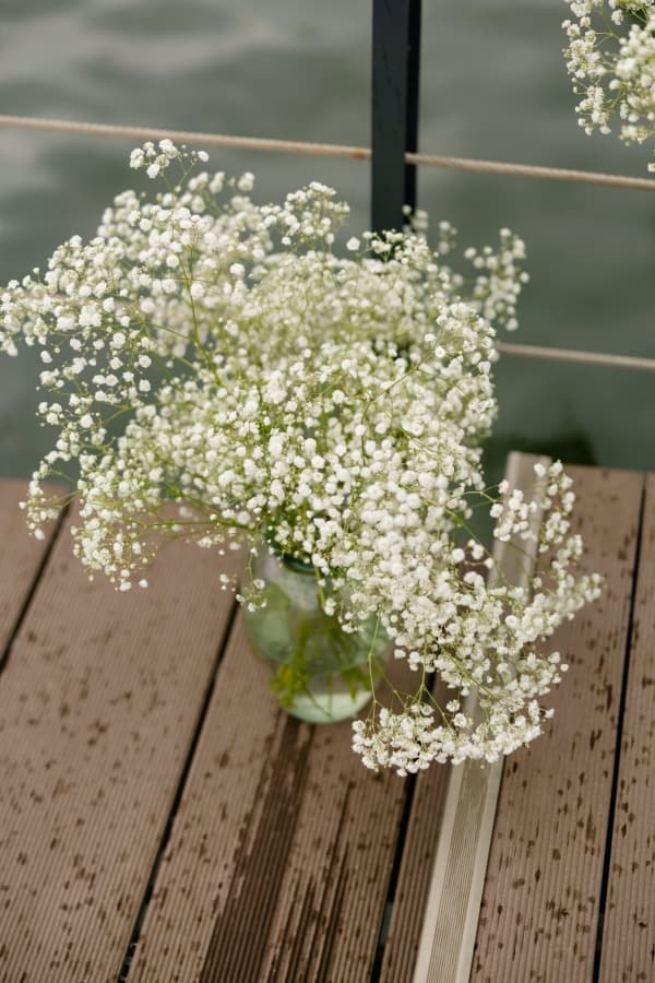 Fotografie de Paul Boangiu Photographer la ARCA