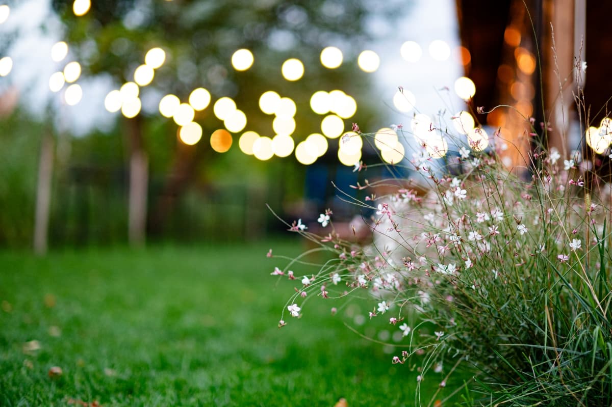 Fotografie de Live Love Laugh - Dana Sacalov la Blissful Garden