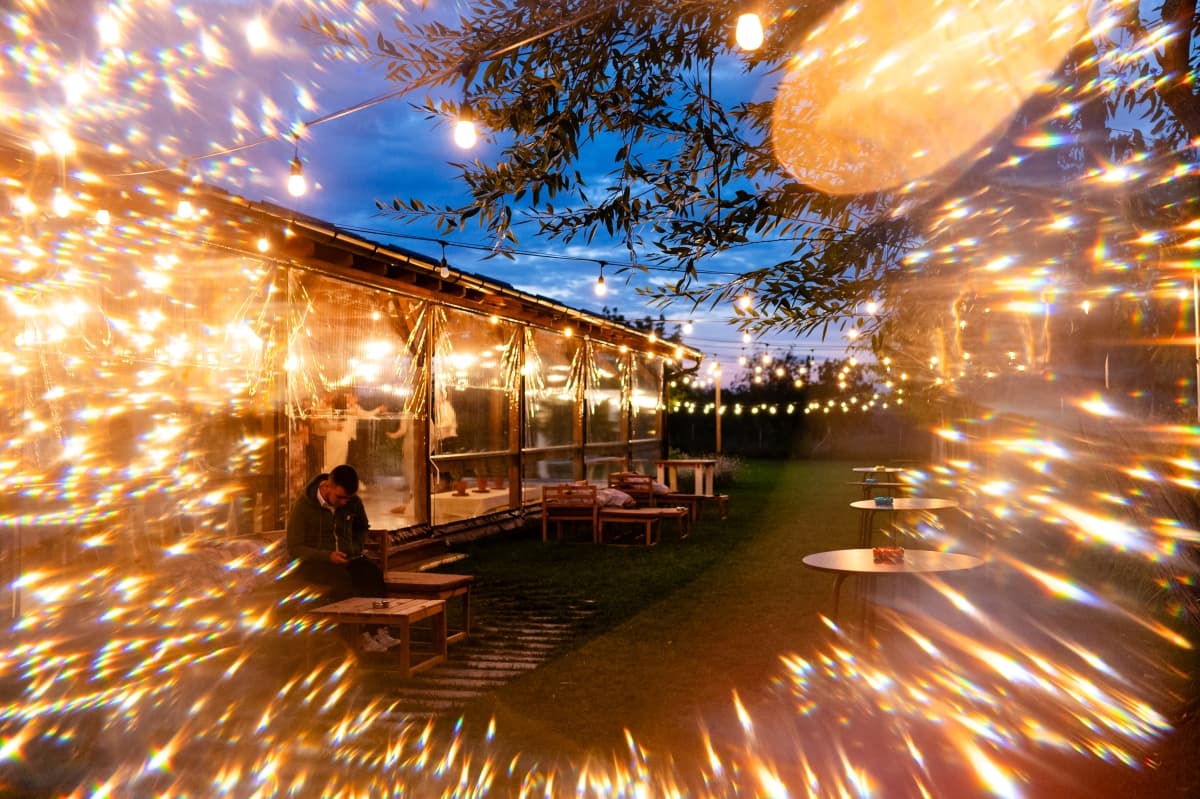 Fotografie de Live Love Laugh - Dana Sacalov la Blissful Garden